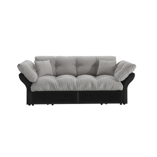 Queen Pull Out, 3 In 1 Convertible Sleeper Tufted Sofa & 2 Soft Pillows