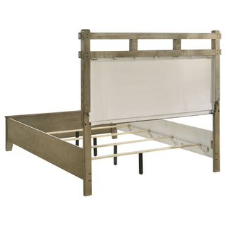 Pelton - Panel Bed