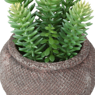 Artificial Succulent, Table Decor (Set of 2) - Green / Brown