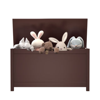 Toy Box Storage With Safety Hinged Lid