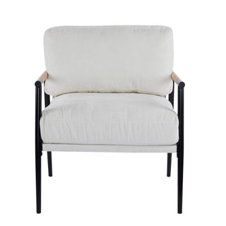 Modern Accent Chair With Cushions, Cozy Seating