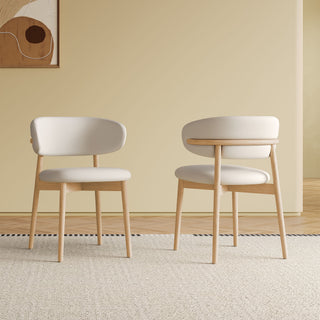 Mid-Century Modern Dining Chair (Set of 2)