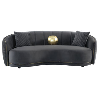 Lorraine - 2 Piece Upholstered Sofa Set With Tufting Trim - Dark Gray