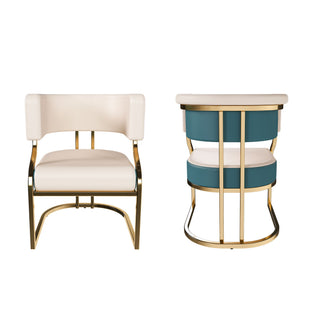 Dining Chairs Ergonomic Curved Backres (Set of 2) - Blue / Neutral