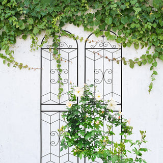 Garden Trellis, Rustproof Support For Climbing Plants
