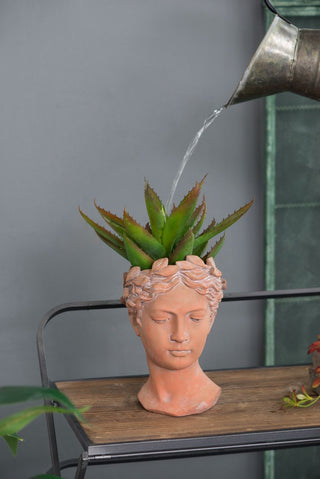 D7X11" Visage Head Bust Planter - Brown