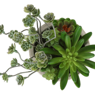 Artificial Succulent, Table Decor (Set of 2) - Green / Beige