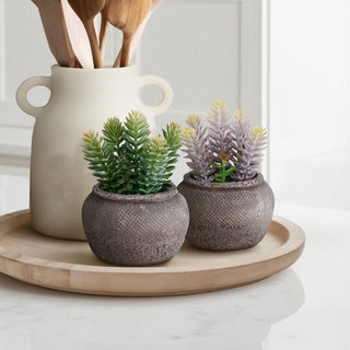 Artificial Succulent, Table Decor (Set of 2) - Green / Brown