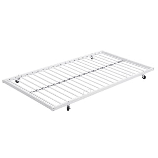 Modern Metal Bunk Bed With Dual Side Ladder And Metal Desig