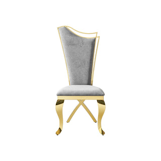 Gorgeous Streamlined High Back Fabric Stainless Steel Dining Chair (Set of 2) - Gold / Gray