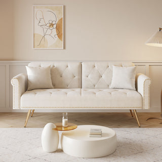 Luxurious Sofa Bed With Nail Head Trim And Matching Pillow