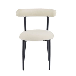 Modern Dining Room Chairs (Set of 2)