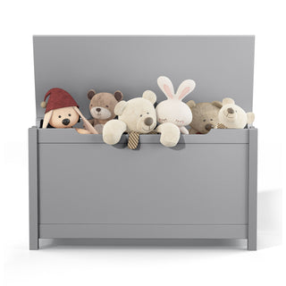 Toy Box Storage With Safety Hinged Lid