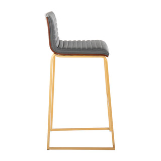 Mason Mara - Contemporary Versatile Desig Fixed Height Barstool (Set of 2)