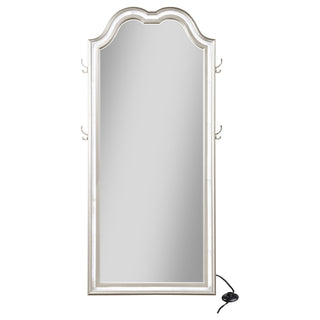 Colwood - Full Floor Mirror With LED Lighting And Storage Hooks - Silver