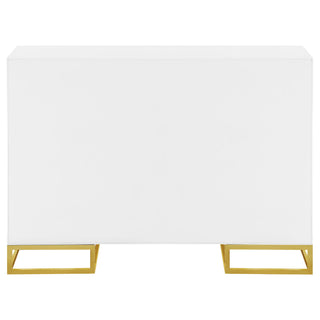 Synchrony - 2 Door Accent Cabinet With Art Deco Trim - White