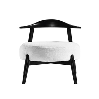 Modern Living Room Upholstered Accent Chair