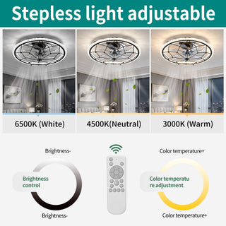 Caged Ceiling Fan With Remote Control Lights, 6 Speeds, 3 Color Temperature LED - Antique Black