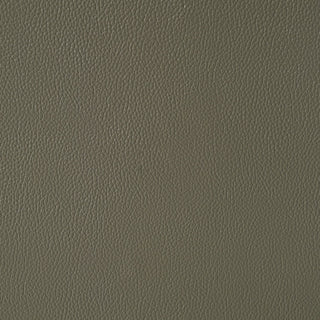 Wildcat - Motion Recliner - Gray