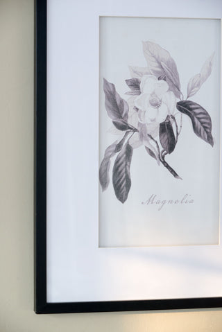 Botanical Wall Art Prints, Home Decor For Living Room Dining Room, Bedroom, Hallway (Set of 4) - White / Black