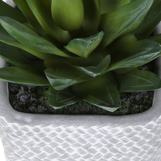 Artificial Succulent, Table Decor (Set of 2) - Green / Gray