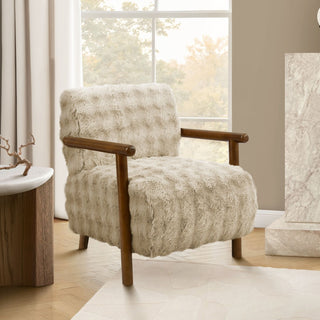 Modern Upholstered Accent Chair For Living Room