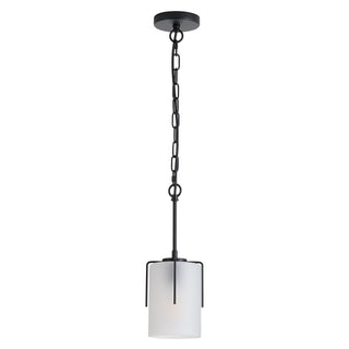 Adjustable Cylindrical Pendant Light