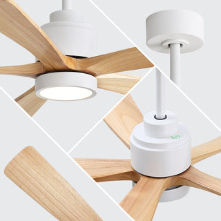 52" Ceiling Fan With Remote Control, Dimmable 3 Color Temperature LED Light, Quiet Reversible DC Motor