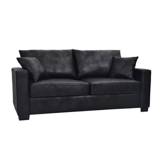 2 Seater Sofa, 2 Throw Pillows For Living Room