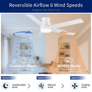 Flush Mount Ceiling Fan With Light