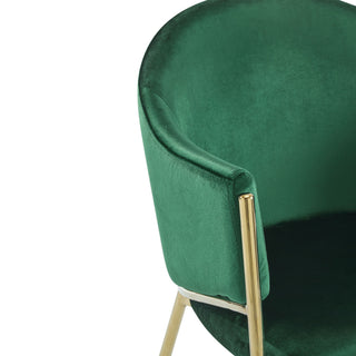 Modern Upholstered Dining Chair With Frame And