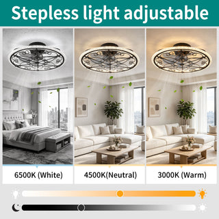Caged Ceiling Fan With Remote Controlled LED Light - Matte Black