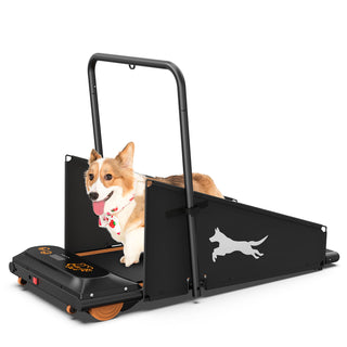 Dog Treadmill For Small To Medium Dogs With LED Display - Black / Orange