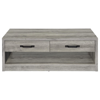 Nuberg - 2 Drawer Coffee Table Rectangular Design - Gray