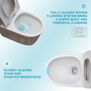 1 Piece Toilet For Bathroom, Soft Closing Seat, Dual Flush 1.1 / 1.6 Gpf - White