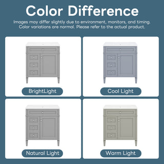 Bathroom Vanity With Top Sink, Storage Cabinet With 2 Drawers, Tip Out Drawer