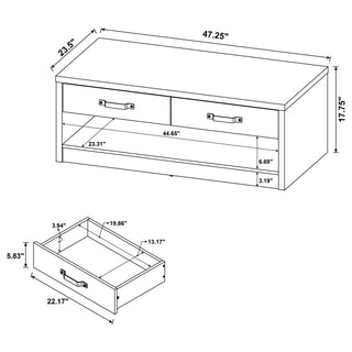 Nuberg - 2 Drawer Coffee Table Rectangular Design - Gray