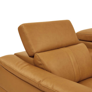 Modular Sectional & Recliner Seat And Adjustable Headrest