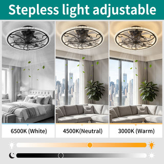 Ceiling Fan With Lights Remote Control, 6 Speeds 3 Color Caged Ceiling Fan - Matte Black