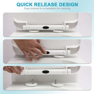 1 Piece Toilet For Bathroom, Dual Flush 1.24 / 1.43 Gpf, Soft Closing Seat - White