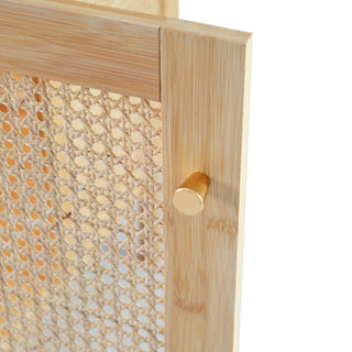 Bathroom Vanity Cabinet With Doors, Soft Close Design