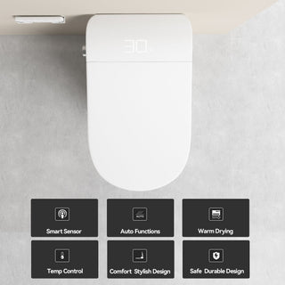 Smart Bidet Toilet With Auto Open / Close Seat, Warm Water Wash, Heated Seat, And Wireless Remote Control