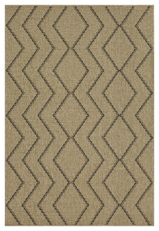 Earth - Indoor / Outdoor Polypropylene Area Rug - Jute /