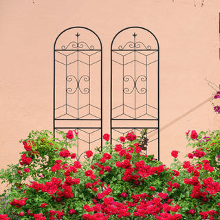 Garden Trellis, Rustproof Support For Climbing Plants