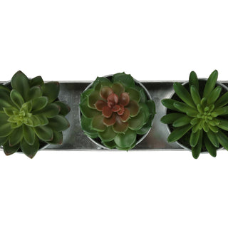 Artificial Succulent, Table Decor (Set of 3) - Green