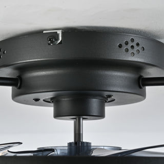 Ceiling Fan With Light, Flower Caged Ceiling Fan With Remote, LED Low Profile Ceiling Light - Matte Black