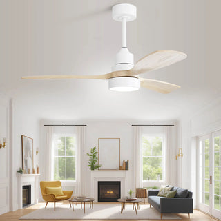 Indoor Ceiling Fan With Dimmable LED Light, 6 Speed Remote ControlLED DC Motor, Reversible Blades