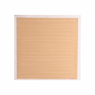 Burlington - Modern Design Transitional Wall Mirror