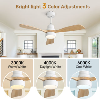 48" Ceiling Fan With Light, Dual Mount (Flush / Downrod), Dimmable LED, Quiet DC Motor, 3 Blades