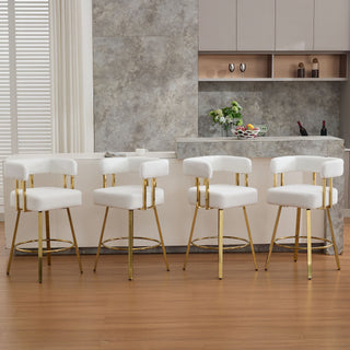 Decorative Upholstered Side Chair For Living Room (Set of 2)